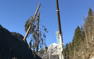 Rimozione residui arborei da pendio a bordo strada tramite autogru