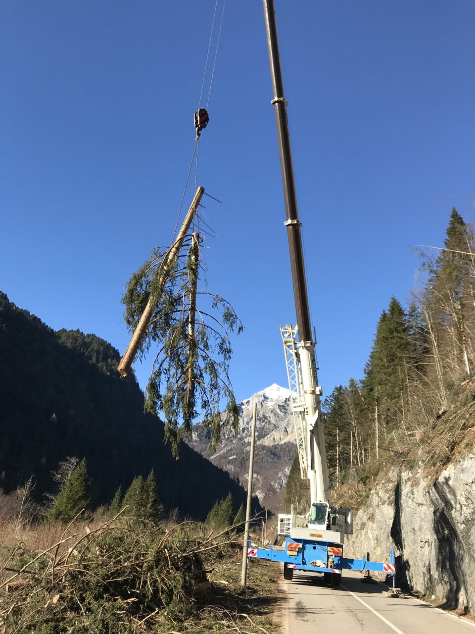Rimozione residui arborei da pendio a bordo strada tramite autogru