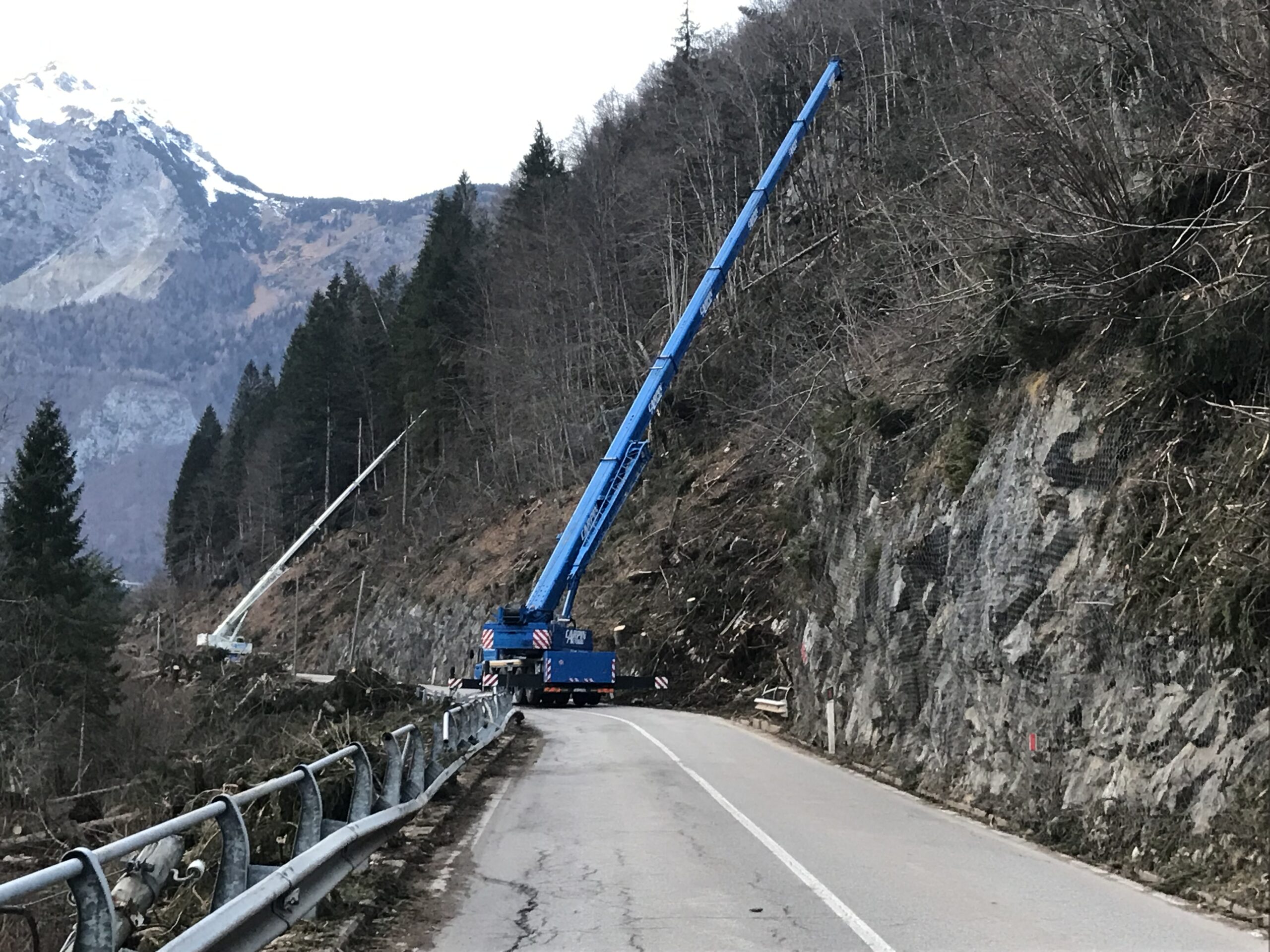 Rimozione residui arborei da pendio a bordo strada tramite autogru