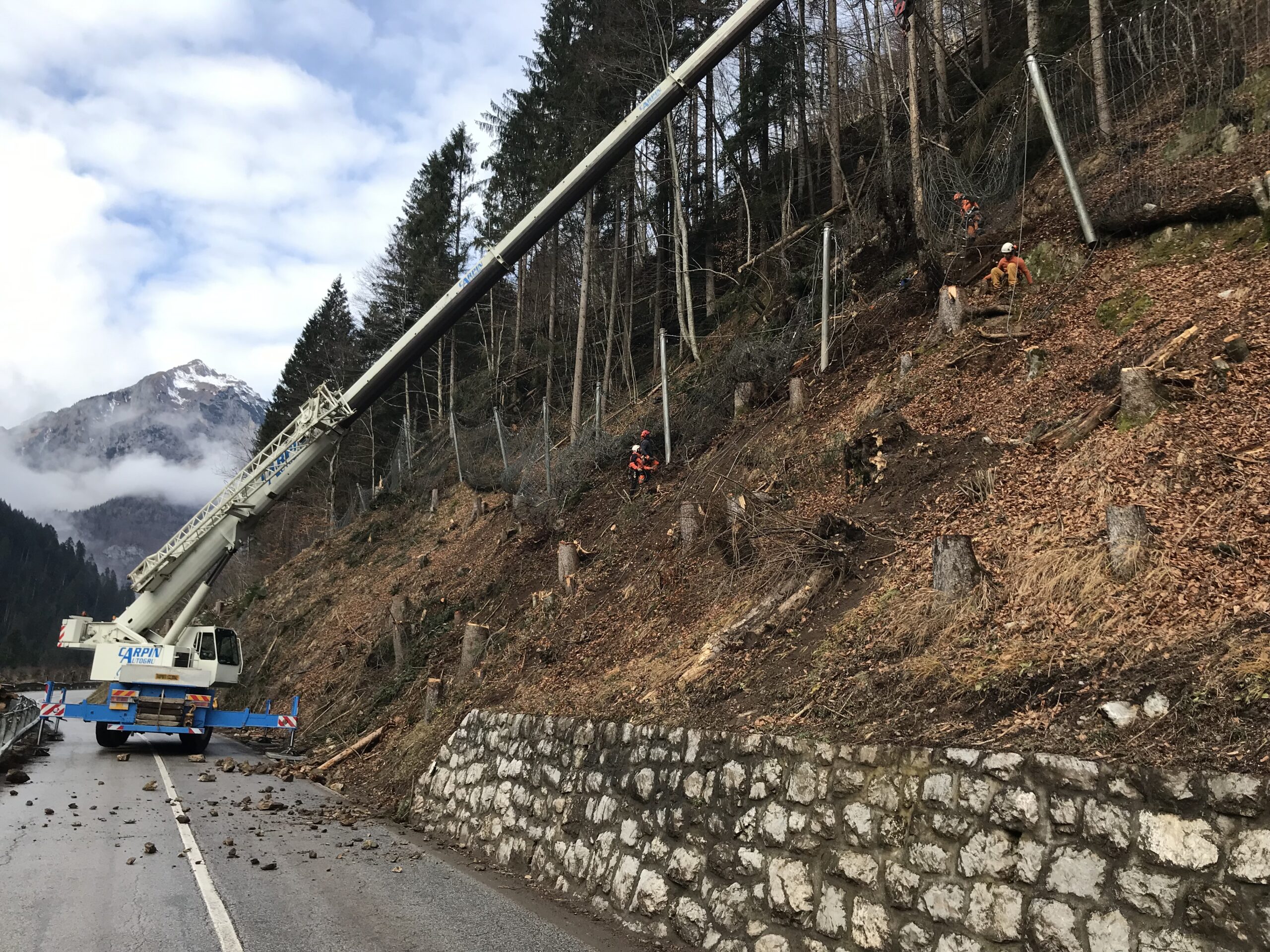 Operai assicurati su corda tagliano gli alberi pericolanti su pendio a bordo strada